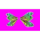 Clubtail Dragonfly Wings