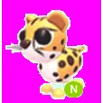 CHEETAH NEON