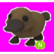 PLATYPUS NEON