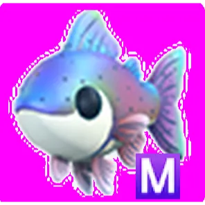 Rainbow Trout