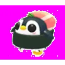 Sushi Penguin
