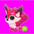 Dragonfruit Fox Neon