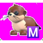 River Otter