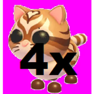 Catte