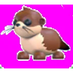 River Otter