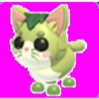 Matcha Cat