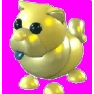 Golden Chow-Chow