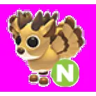 CAELUM CERVI NEON