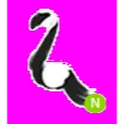 Slimingo Neon