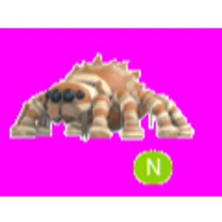 Mummy Spider Neon