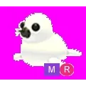 Harp Seal Mega