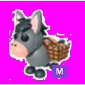 MULE MEGA NEON
