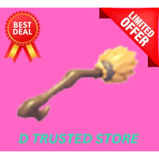 ENCHANTED BROOMSTICK