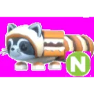S'mores Raccoon Neon