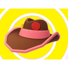 Pink Cowboy Hat