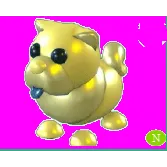 Golden Chow-Chow Neon