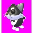 Tuxedo Cat