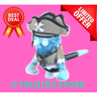 PIRATE GHOST CAPUCHIN MONKEY