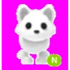 ARCTIC FOX NEON