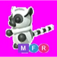 Ring-Tailed Lemur Mega Neon