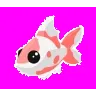 Koi Carp
