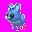 Water Rabbit Mega Neon