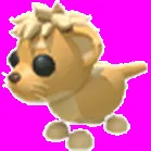Lion Cub