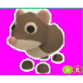 SHREW NEON