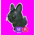 Amami Rabbit Mega Neon