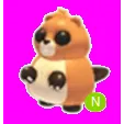 Ranger Beaver Neon