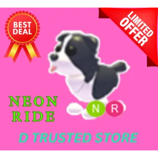 BORDER COLLIE NEON