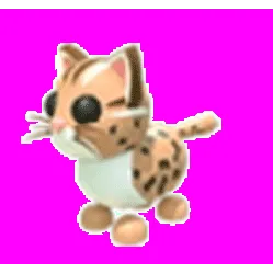 Leopard Cat
