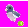 Wood Pigeon Neon
