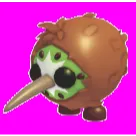 Kiwi Kiwi