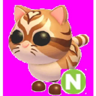 Catte Neon
