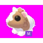 Chocolate Dutch Guinea Pig Mega Neon