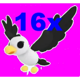 Pilot Gull