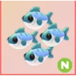 MANY MACKEREL