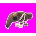 Giant Anteater