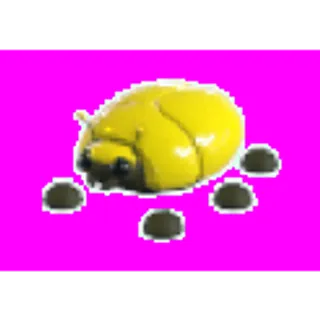 Giant Gold Scarab
