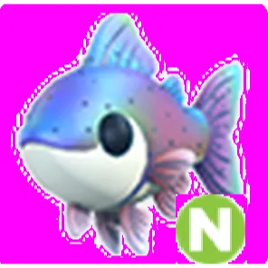 Rainbow Trout