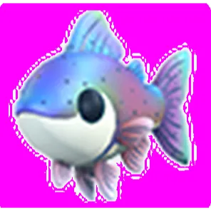 Rainbow Trout