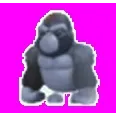 Silverback Gorilla