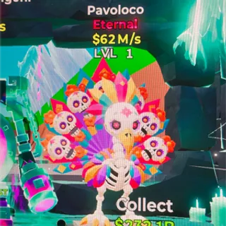 PAVOLOCO