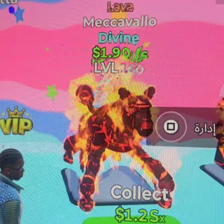 Meccavallo Lava