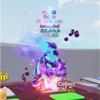 SIR PEGASUSIO GALAXY 3T