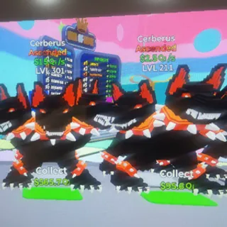 2x Cerberus go up