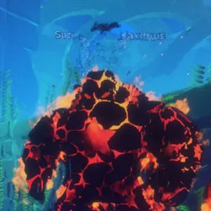 Supernovus Maximus