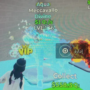 Meccavallo Aqua