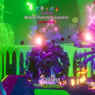 BEARINI PLAMMINI 5T